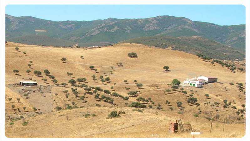 Cerro Motón de Trigo